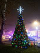 2nd Dec 2023 - Tree Lighting
