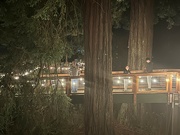 17th Dec 2023 - Sequoia Park Zoo Lights