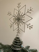 13th Dec 2023 - Christmas Tree Topper Star