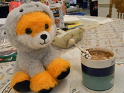 17th Dec 2023 - Fox and Hot Chocolate 