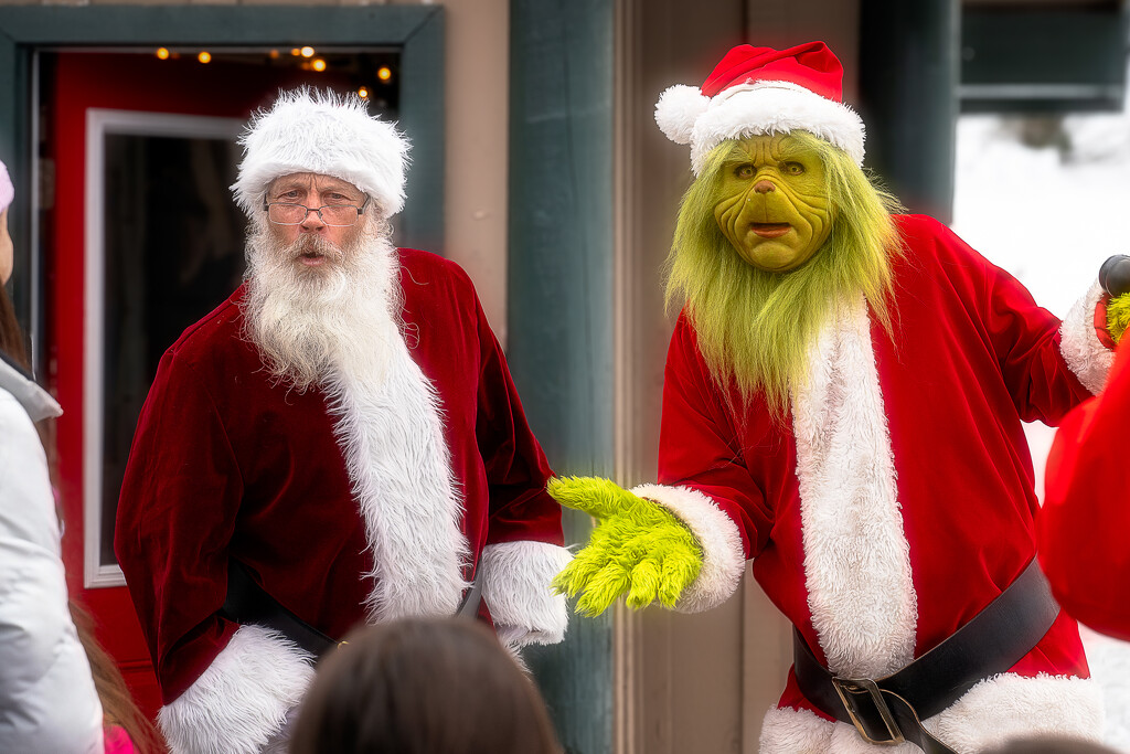 Pairs Project #10 - Santa & The Grinch by cdcook48