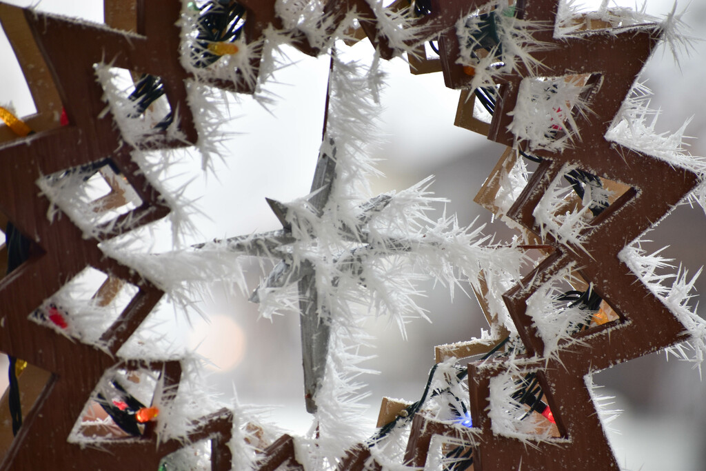 Frosty Morning Close-up by bjywamer