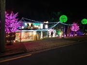 18th Dec 2023 - Christmas Lights 