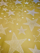 18th Dec 2023 - Stars