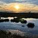 Marsh sunset and Charleston Harbor in the distance. by congaree