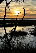 18th Dec 2023 - Marsh sunset and dock