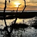 Marsh sunset and dock by congaree