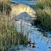 Low tide marsh scene, Mt. Pleasant, SC by congaree