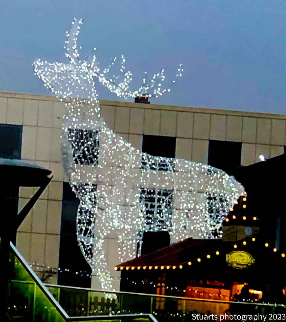 Friars walk lights by stuart46