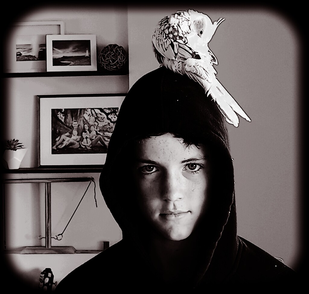 Boy with bird. by aq21