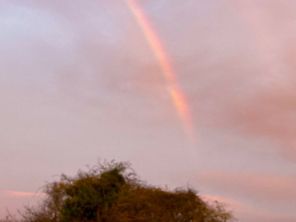 Rainbow! by 365anne