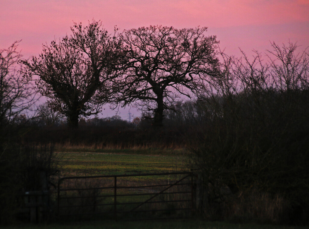 Dusk in development by shepherdman