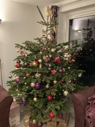 18th Dec 2023 - Christmas Tree