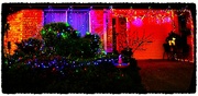 19th Dec 2023 - Another Brightly Christmas Decorated House ~ 