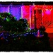 Another Brightly Christmas Decorated House ~  by happysnaps
