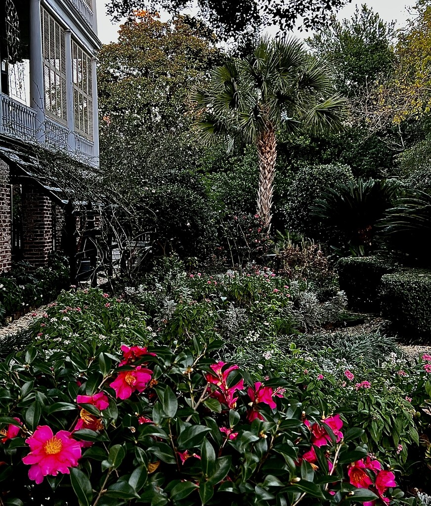 Garden, Historic District, Charleston by congaree