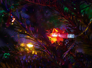 19th Dec 2023 - Christmas Lights