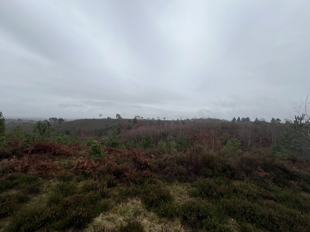 A Rainy Day on Ash Ranges by mattjcuk