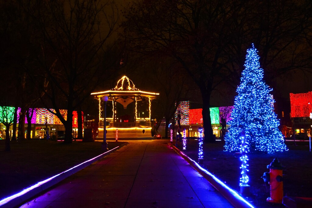 Lights in the Park by *lynn · 365 Project