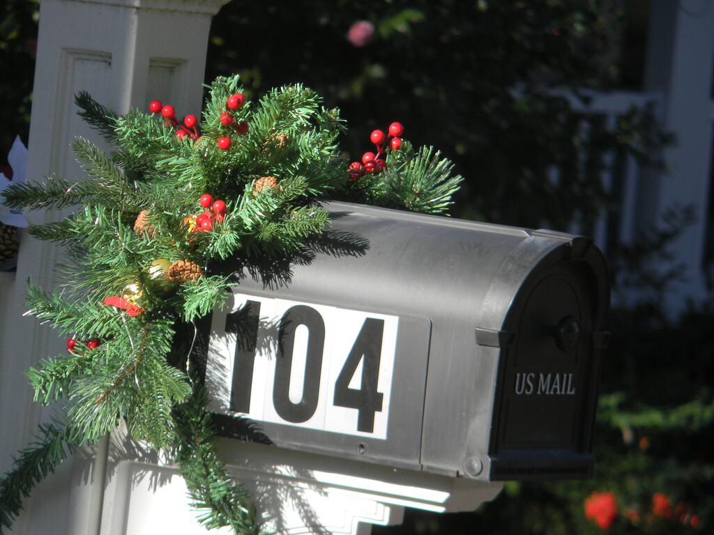 Decorations on Neighbor's Mailbox  by sfeldphotos