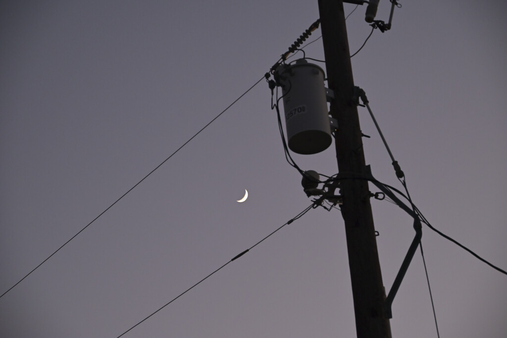 Power lines and crescent moon by metzpah