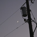 Power lines and crescent moon by metzpah