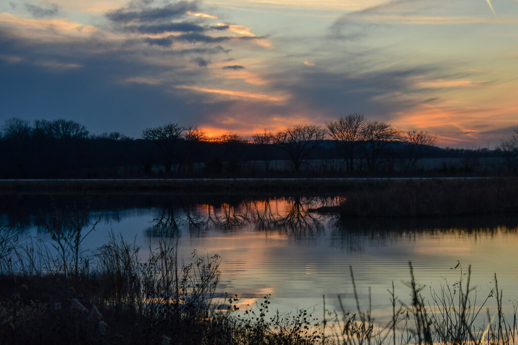 Baker Wetlands Sunset 12-13-23 by kareenking