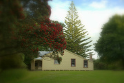 19th Dec 2023 - Brook's Homestead