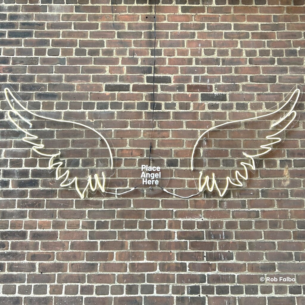 Angel Wings by robfalbo