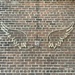 Angel Wings by robfalbo