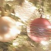 LensBaby Ornaments by lynnz