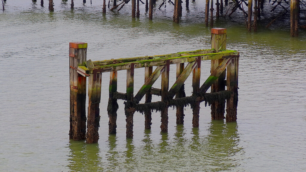 Part of the derelict and rotting pier........977 by neil_ge