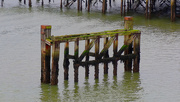 20th Dec 2023 - Part of the derelict and rotting pier........977
