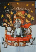 18th Dec 2023 - 12 18 Meowy Christmas