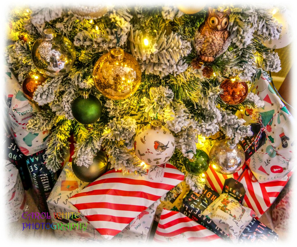 Presents Under The Tree by carolmw