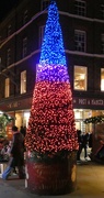 21st Dec 2023 - Christmas Tree
