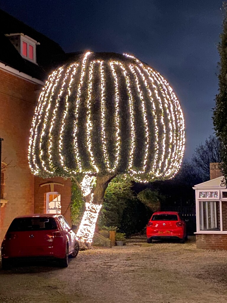 Tree of light by wakelys