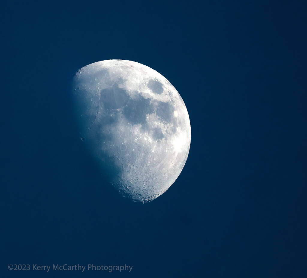 Winter Solstice Moon by mccarth1