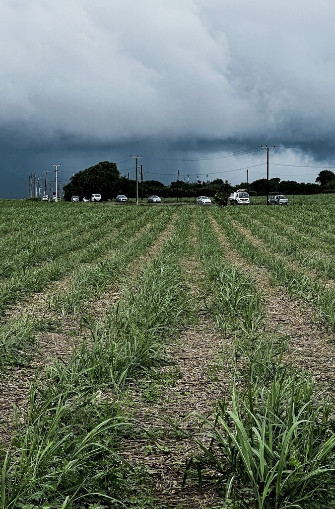 Approaching Storm by cocokinetic