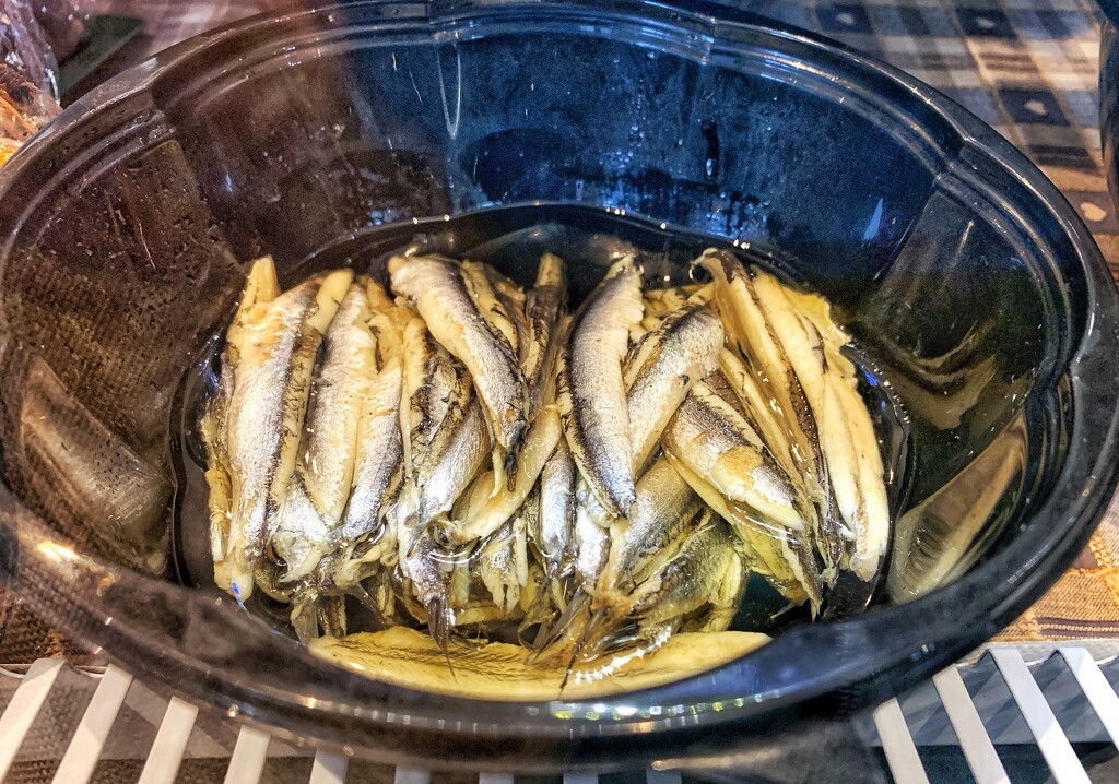 Fresh anchovies by happypat