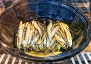 22nd Dec 2023 - Fresh anchovies