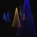 Christmas Trees by carole_sandford