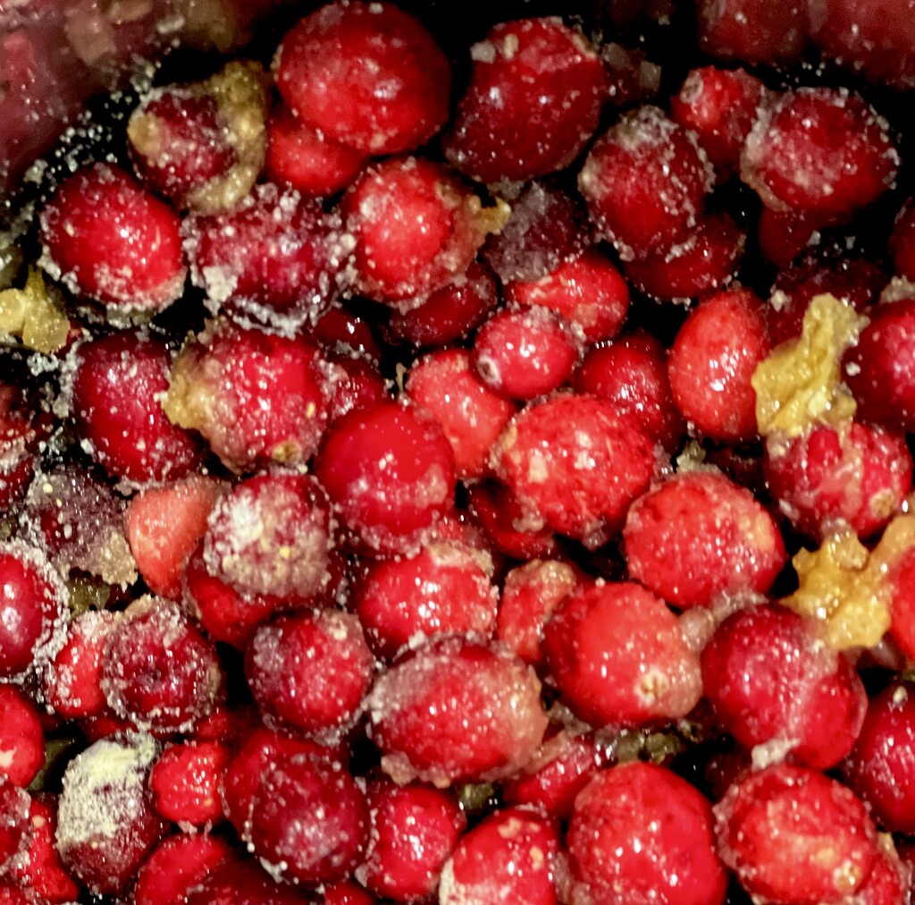 Cranberry Sauce in the Making  by rensala