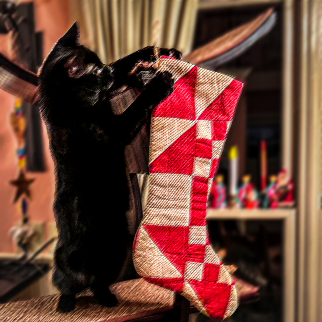 Quick, hang that extra stocking! by berelaxed