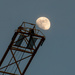 A Rare Moon Launch by danette