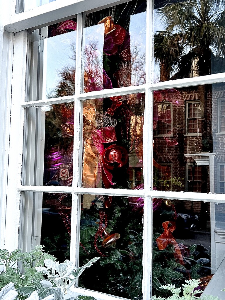 Shop window, historic district, Charleston by congaree