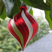 Christmas Ornament by seattlite