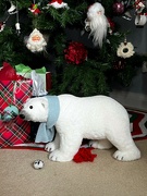 23rd Dec 2023 - Polar Bear 