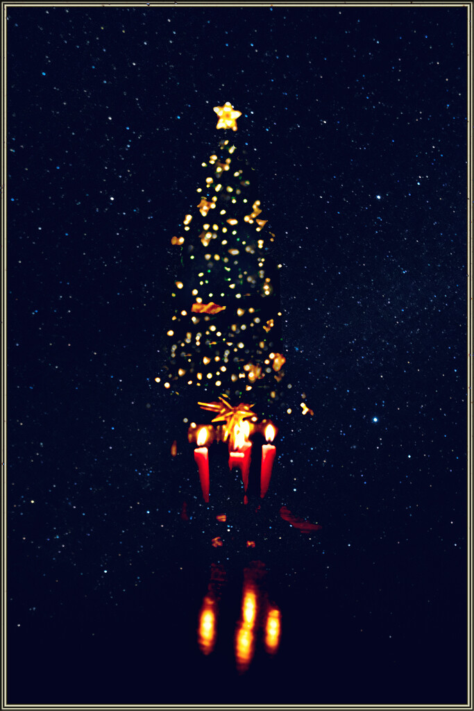 Oh Christmas Tree by 365projectorgchristine