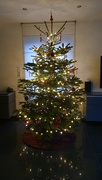 23rd Dec 2023 - Christmas tree